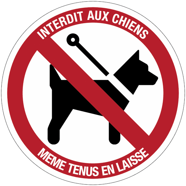 chien%20interdit